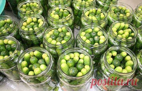 МАРИНОВАННЫЕ ОГУРЦЫ «ПО-ДЕТСКИ». Вкусные и хрустящие! Хрустящие огурцы, которые получаются всегда! Рецепт в нашей передается из поколения в поколение