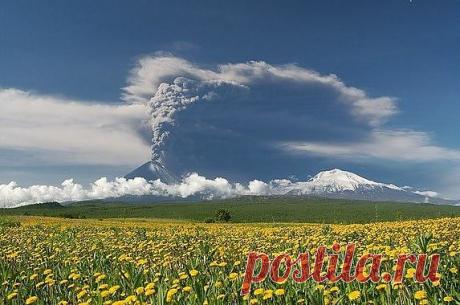 Лето — это солнечное счастье!