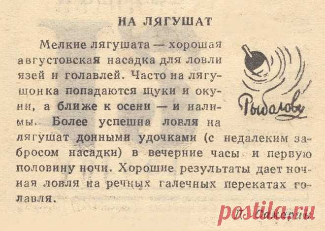 Ловля на лягушат (совет рыболову)