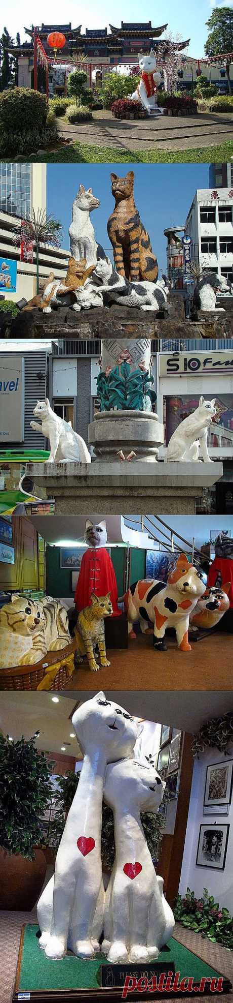 Город кошек и музей кошек
