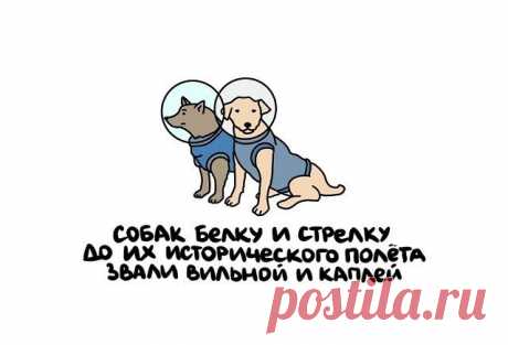 Нет скуки - Развлекательный сайт. Источник позитивного настроения. Юмор, приколы и развлечения
