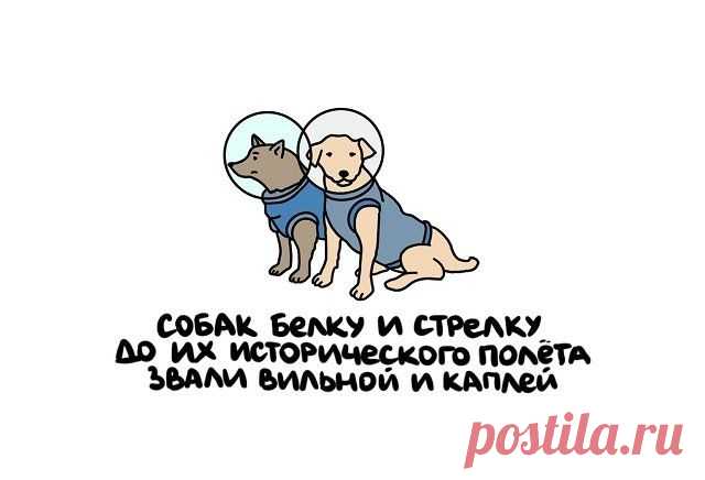 Нет скуки - Развлекательный сайт. Источник позитивного настроения. Юмор, приколы и развлечения