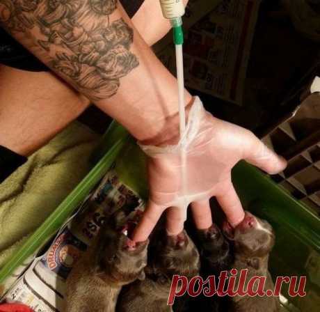 15 сильных фотографий, которым не нужны названия