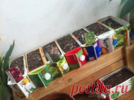 Забавное применение коробкам от молочных продуктов и сока Практически каждому в детстве рассказывали о пользе молока. И в воспитательно-показательных целях заставляли употреблять оное хотя бы через день.  Да, в последние годы появилось немало исследований, у...