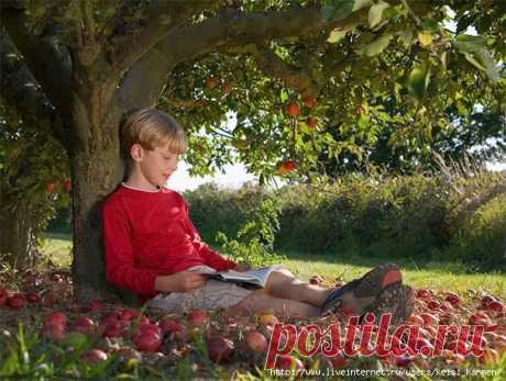 ПРОНИКНОВЕННАЯ И ПОУЧИТЕЛЬНАЯ ПРИТЧА "ДАРЫ ДЕРЕВА"