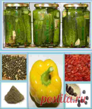 5 секретов засолки огурцов