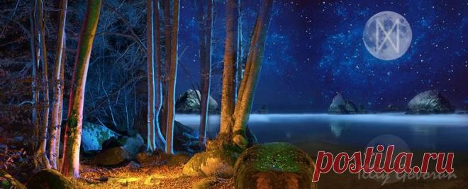 Сказки и Басни от Илии Говоруна