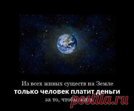 Только человек платит деньги.... https://www.rodoswet.ru/