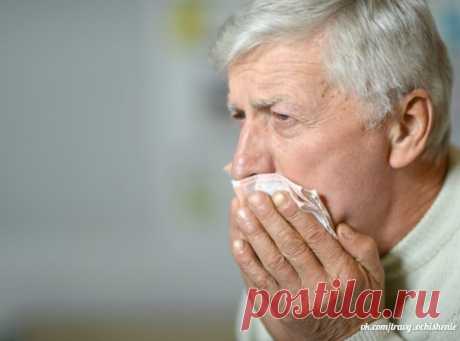 #travy_ochishenie

ОТКУДА БЕРЕТСЯ МОКРОТА В ЛЕГКИХ?

Мокрота вырабатывается в бронхах постоянно. Это нормальное физиологическое явление – таким образом, дыхательная система человека защищает себя от проникновения патогенных микроорганизмов и пыли. Слизь содержит специальные вещества, антитела – иммунные клеточки с антисептическим воздействием .
Показать полностью…