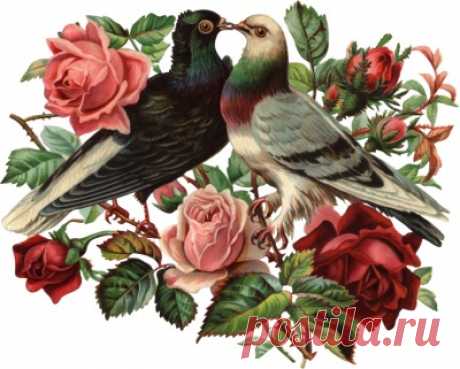 Вышивка крестом | Записи в рубрике Вышивка крестом | Дневник Коцур