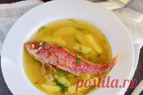 Аппетитный рыбный супчик из барабульки