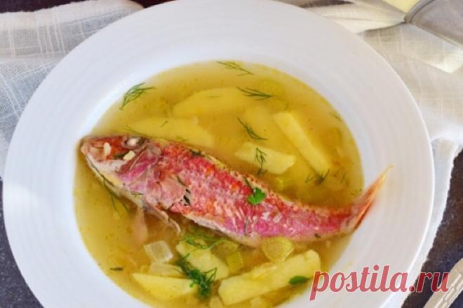 Аппетитный рыбный супчик из барабульки