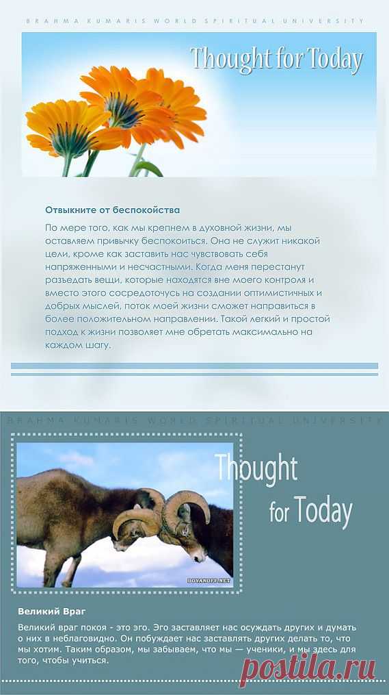 Душевное равновесие. Эти и другие советы помогут вам сохранить его.