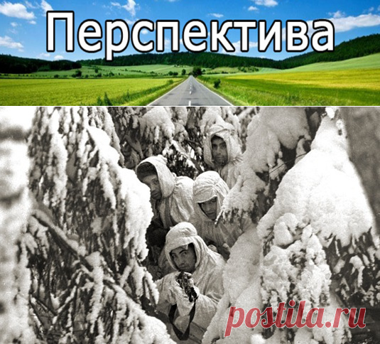 Тайны Финской войны | Pravdoiskatel