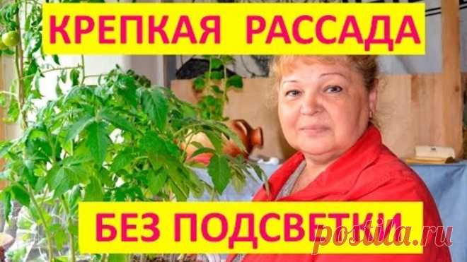 (72) Одноклассники