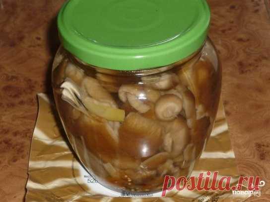 Грузди, маринованные в банке - пошаговый кулинарный рецепт с фото на Повар.ру