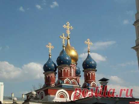 Лестница, ведущая в небо «Будем любить друг друга, потому что любовь от Бога, и всякий любящий рожден от Бога … Бог есть любовь» (1Иоан. 4:7-8).
На низших ступенях бытия – в мире микробов, насекомых, где господствует беспощад...