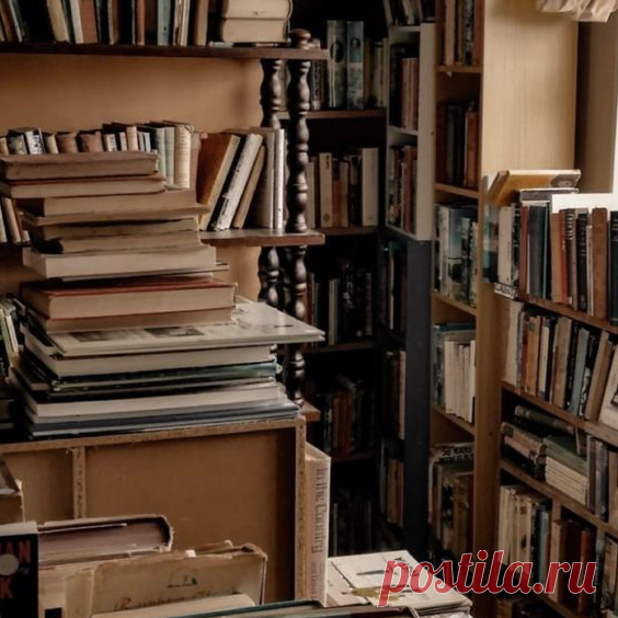 чтение, атмосфера книг, атмосфера чтения, книжные страницы, бумажная книга, спокойствие, равновесие, эстетика книг, книжные миры, погружение в литературу, интересные истории, книжные полки, библиотека