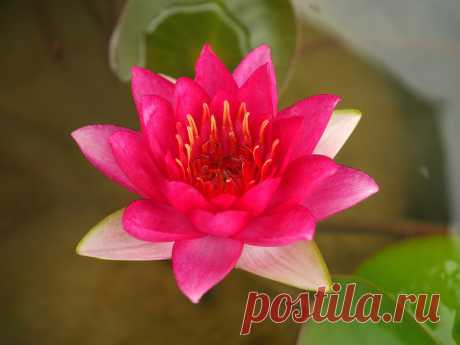 Редактировать описание