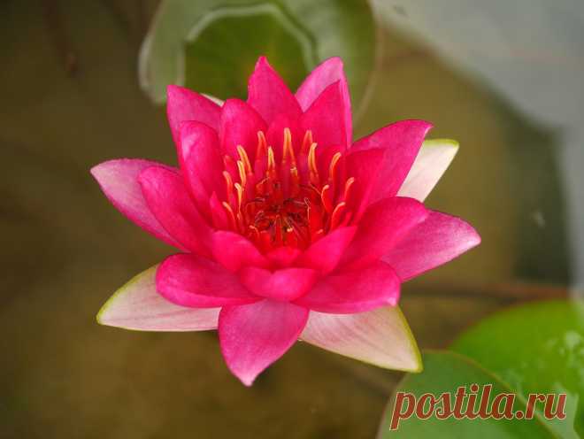 Редактировать описание