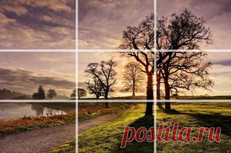 20 приёмов фотографии, изучив которые вы будете фотографировать как профи