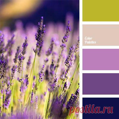 Color Palette Ideas | Page 392 of 393 | ColorPalettes.net