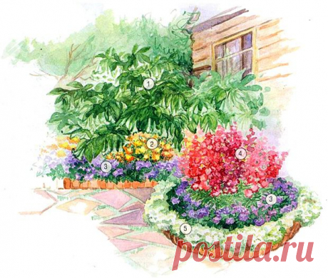 1 - Дурман (Datura metel), 2 - Бархатцы тонколистные (Tagetes tenuifolia), 3 - Агератум мексиканский (Ageratum houstonianum), 4 - Левкой седой (Matthiola incana), 5 - Лобулярия морская (Lobularia maritime).