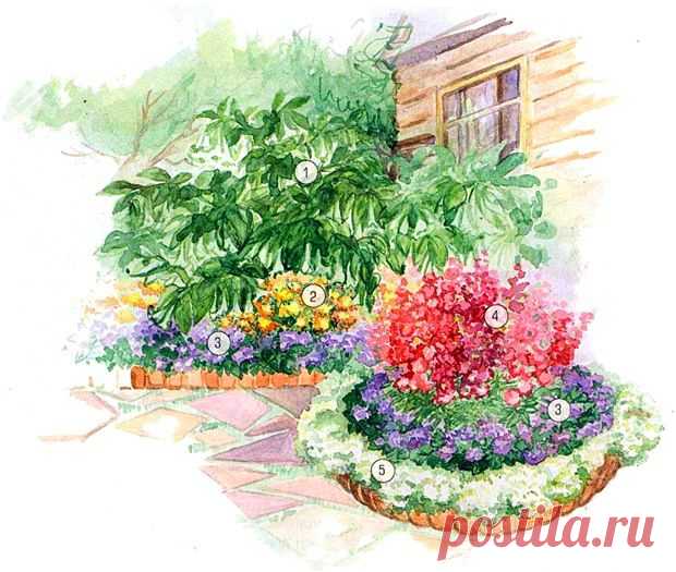 1 - Дурман (Datura metel), 2 - Бархатцы тонколистные (Tagetes tenuifolia), 3 - Агератум мексиканский (Ageratum houstonianum), 4 - Левкой седой (Matthiola incana), 5 - Лобулярия морская (Lobularia maritime).