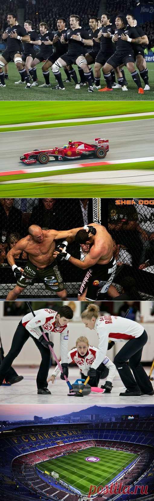 Легкая атлетика, Регби, Регбилиг, Вертолетный спорт, Автомодельный спорт. (1/1) - Спортивный форум. - Спортивный сайт