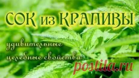 Сок из крапивы. Удивительные целебные свойства