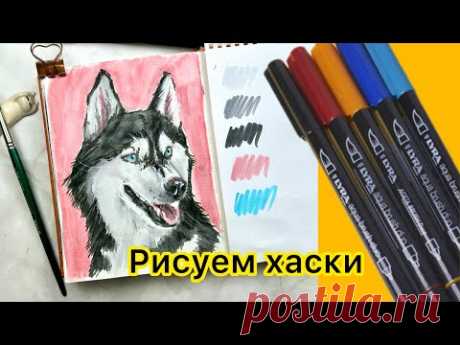 Рисуем собаку хаски акварельными маркерами