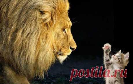Судить других - плохой обычай!!!...
Ты лучше на себя , вначале посмотри!!!. 
И прежде чем открыть свой рот,...ходя-бы для приличия... 
подумай -что собою представляешь ТЫ ??