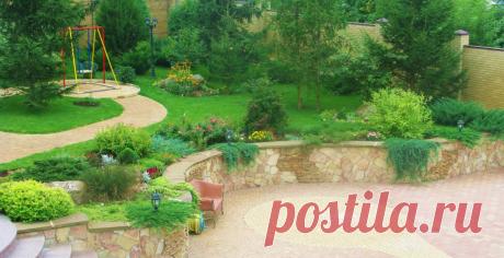 Основной миксбордер | Дачный участок