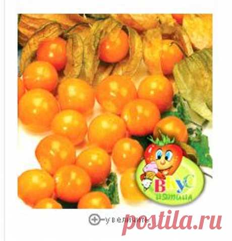 Физалис сахарный Изюминка