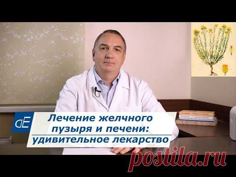 Лечение желчного пузыря и печени: 1 удивительное лекарство: Бессмертник песчаный.