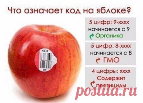 Собрались за яблочками? Вот вам небольшой Лайфхак: | Хитрости Жизни