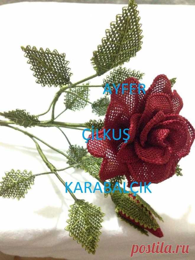 (13) Iğne Oyası Ayfer
