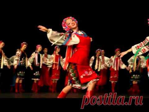 Украинский гопак собрал более 14 млн просмотров в Интернете ...