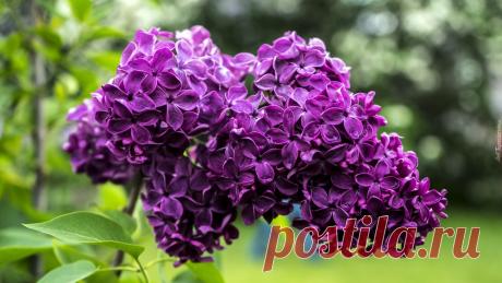 Просыпается жизнь...