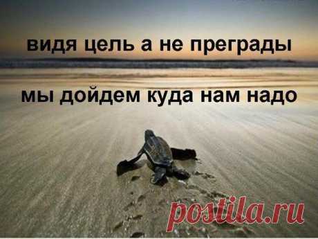 стремись вперед