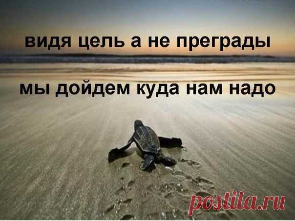 стремись вперед