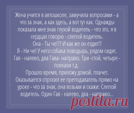 Женщины - такие женщины. Подслушано из серии - начинающие дамы-водительницы