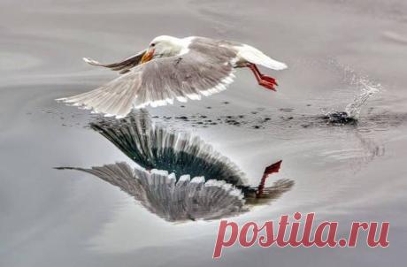 Cool pictures.