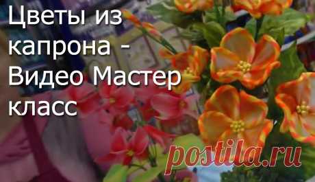 цветы из капрона фото - Поиск в Google