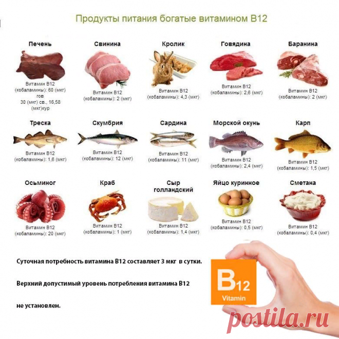 Железодефицитная анемия, мясо и витамин B12. И рассеянный склероз, конечно! | А у меня тоже рассеянный склероз | Яндекс Дзен