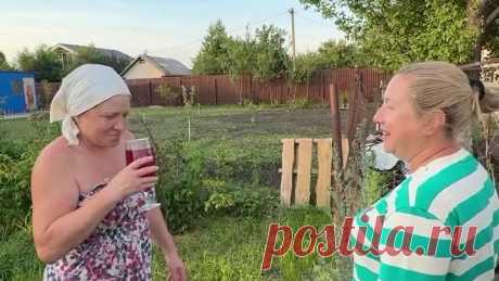 В следующем году базилика посажу больше!