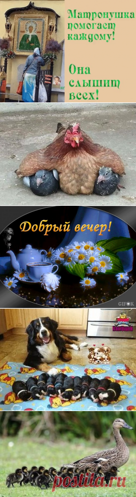 (74) Одноклассники