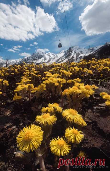 Новости - МирТесен