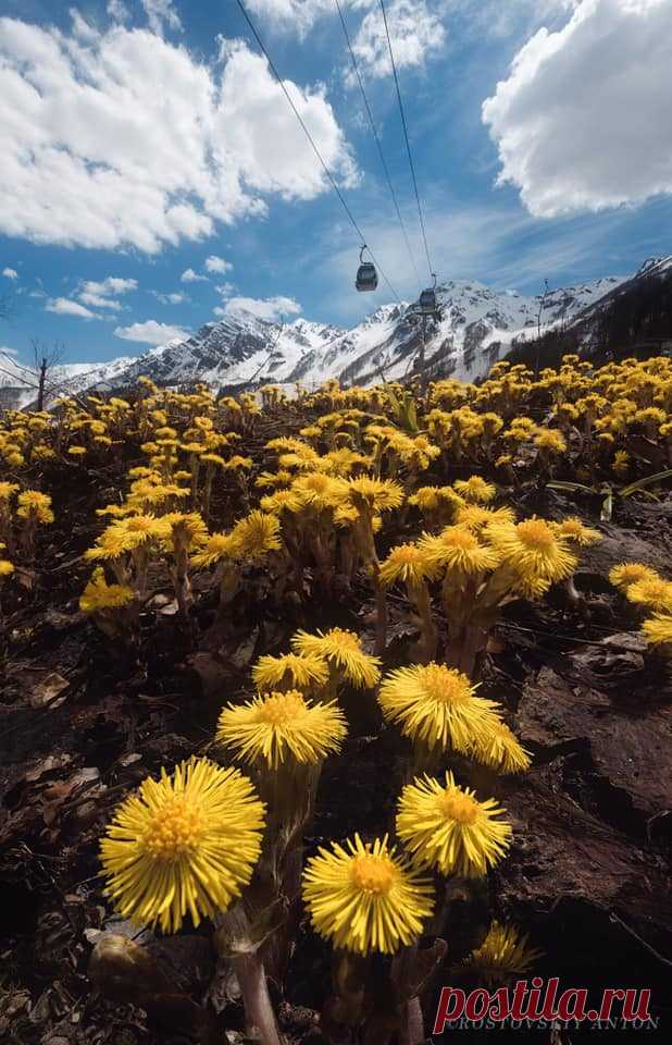 Новости - МирТесен