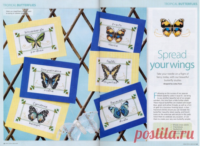 Tropical Butterflies
778х567